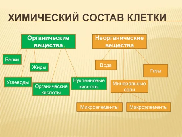 ХИМИЧЕСКИЙ СОСТАВ КЛЕТКИ Органические вещества Неорганические вещества Белки Углеводы Жиры Органические