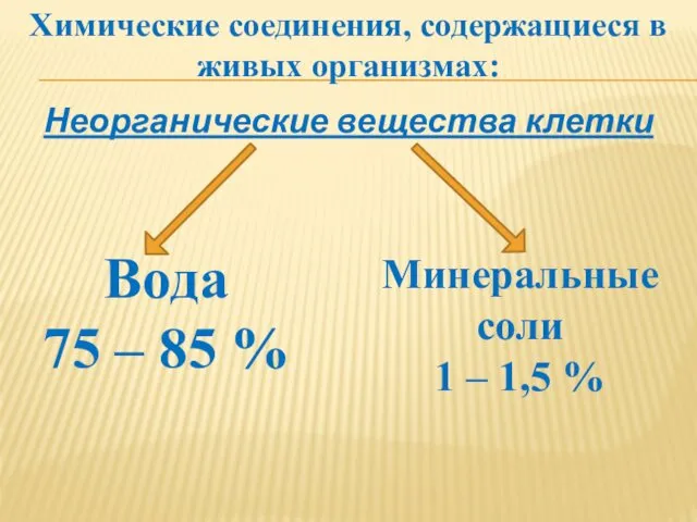 Неорганические вещества клетки Вода 75 – 85 % Минеральные соли 1