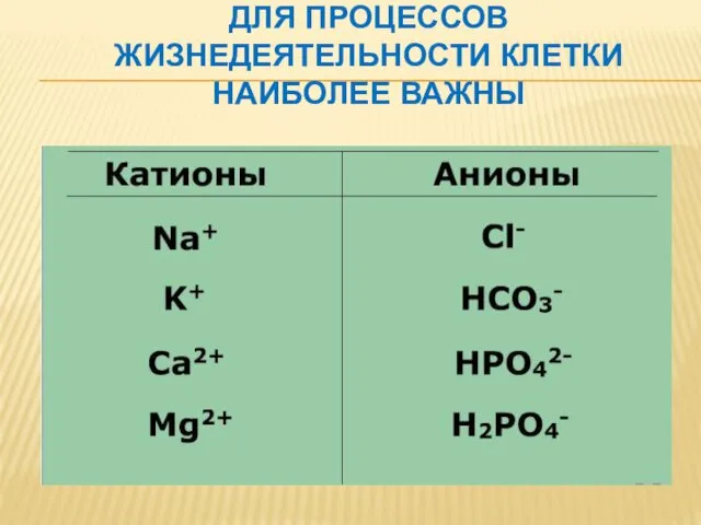 ДЛЯ ПРОЦЕССОВ ЖИЗНЕДЕЯТЕЛЬНОСТИ КЛЕТКИ НАИБОЛЕЕ ВАЖНЫ