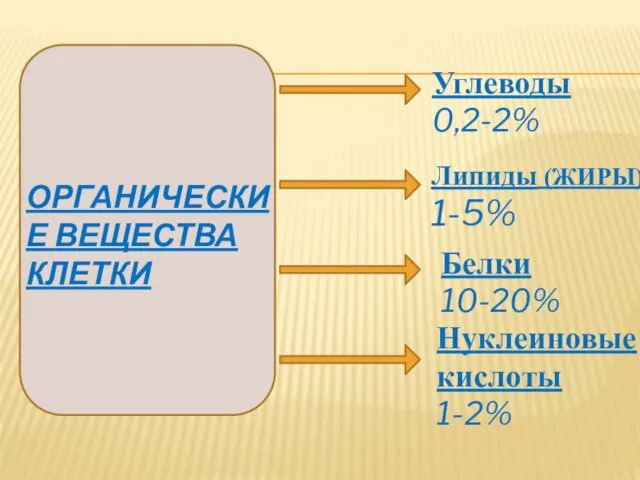 ОРГАНИЧЕСКИЕ ВЕЩЕСТВА КЛЕТКИ Углеводы 0,2-2% Липиды (ЖИРЫ) 1-5% Белки 10-20% Нуклеиновые кислоты 1-2%