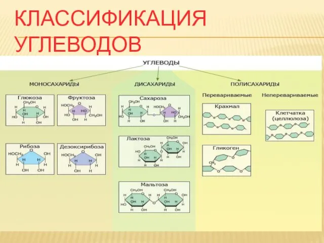 КЛАССИФИКАЦИЯ УГЛЕВОДОВ