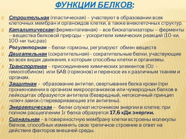 ФУНКЦИИ БЕЛКОВ: Строительная (пластическая) – участвуют в образовании всех клеточных мембран