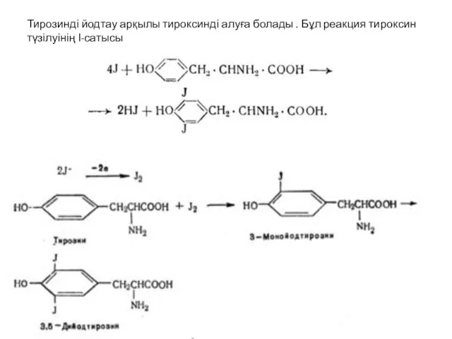 Тирозинді йодтау арқылы тироксинді алуға болады . Бұл реакция тироксин түзілуінің І-сатысы