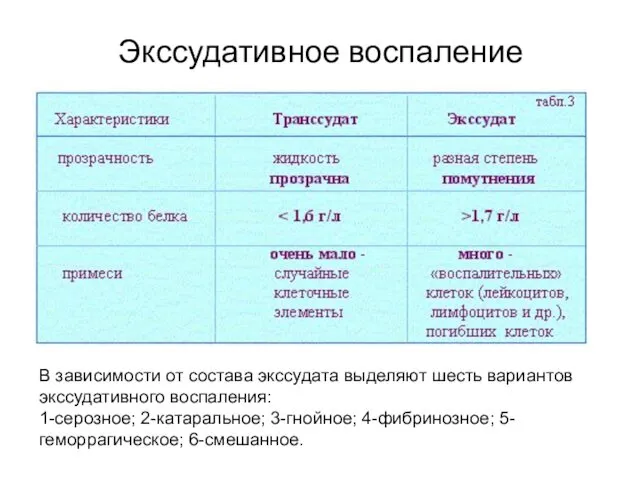 Экссудативное воспаление В зависимости от состава экссудата выделяют шесть вариантов экссудативного