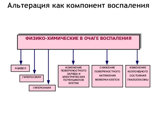 Альтерация как компонент воспаления