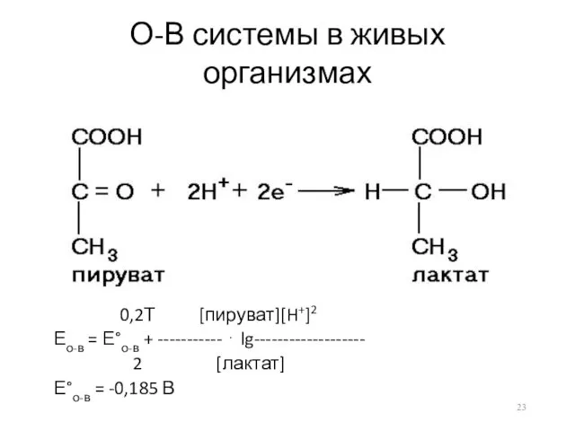 О-В системы в живых организмах 0,2Т [пируват][H+]2 Ео-в = Е°о-в +