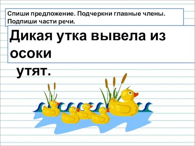 Спиши предложение. Подчеркни главные члены. Подпиши части речи. Дикая утка вывела из осоки утят.