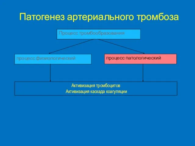 Процесс тромбообразования процесс патологический процесс физиологический Активизация тромбоцитов Активизация каскада коагуляции Патогенез артериального тромбоза