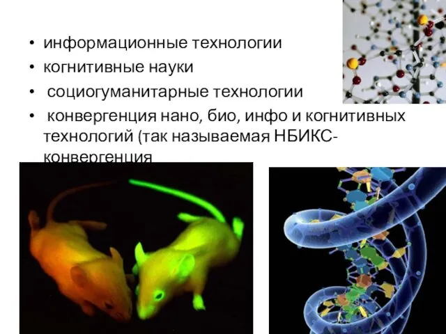 информационные технологии когнитивные науки социогуманитарные технологии конвергенция нано, био, инфо и когнитивных технологий (так называемая НБИКС-конвергенция