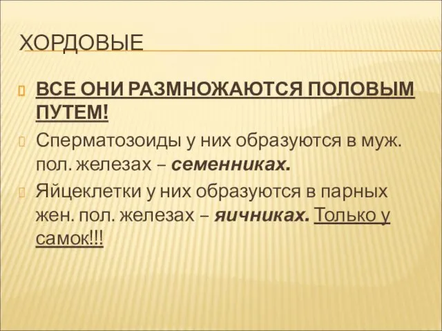 ХОРДОВЫЕ ВСЕ ОНИ РАЗМНОЖАЮТСЯ ПОЛОВЫМ ПУТЕМ! Сперматозоиды у них образуются в