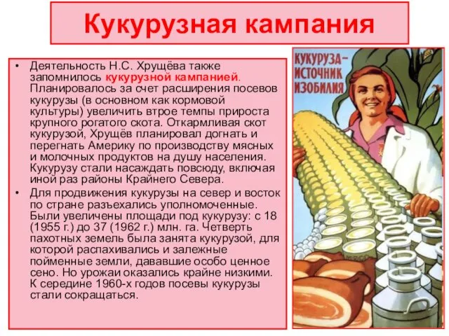 Кукурузная кампания Деятельность Н.С. Хрущёва также запомнилось кукурузной кампанией. Планировалось за