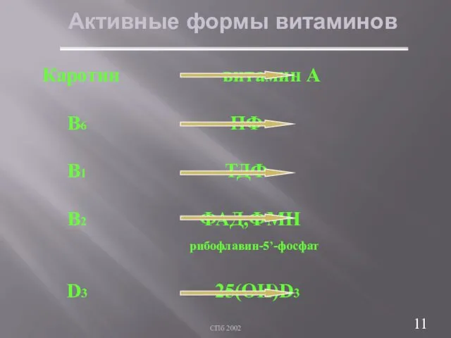 СПб 2002 Активные формы витаминов Каротин витамин А В6 ПФ В1