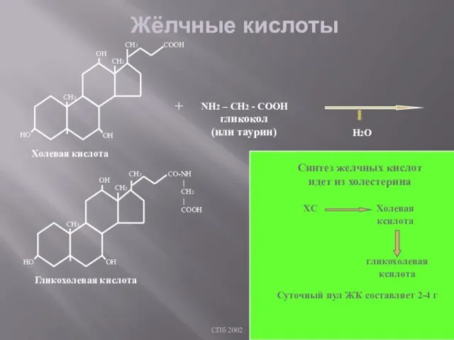 СПб 2002 Жёлчные кислоты ОН НО ОН СН3 СН3 СН3 СООН