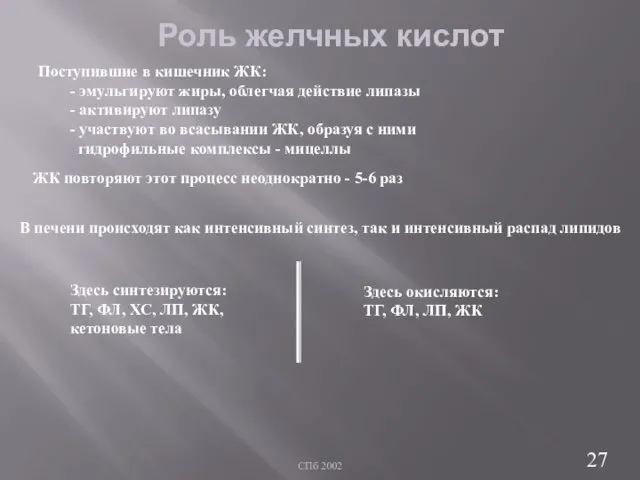 СПб 2002 Роль желчных кислот Поступившие в кишечник ЖК: - эмульгируют