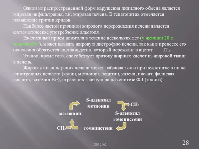 СПб 2002 Одной из распространенной форм нарушения липидного обмена является жировая