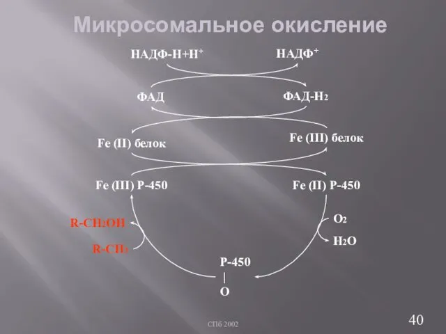 СПб 2002 Микросомальное окисление НАДФ-Н+Н+ НАДФ+ ФАД ФАД-Н2 Fe (II) белок