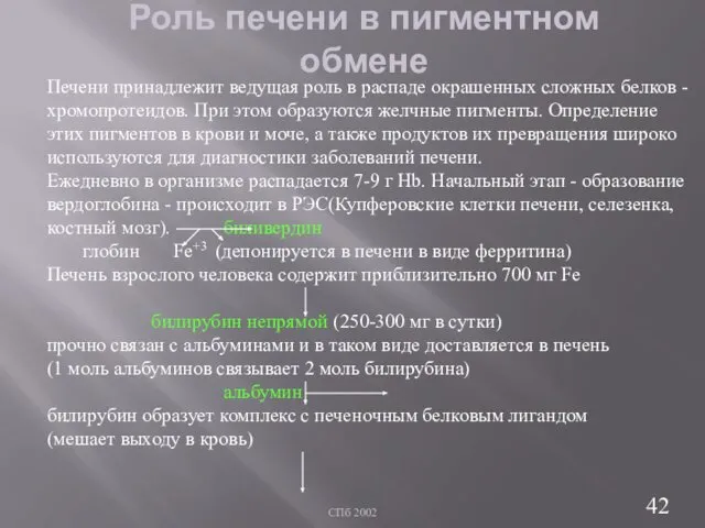 СПб 2002 Роль печени в пигментном обмене Печени принадлежит ведущая роль