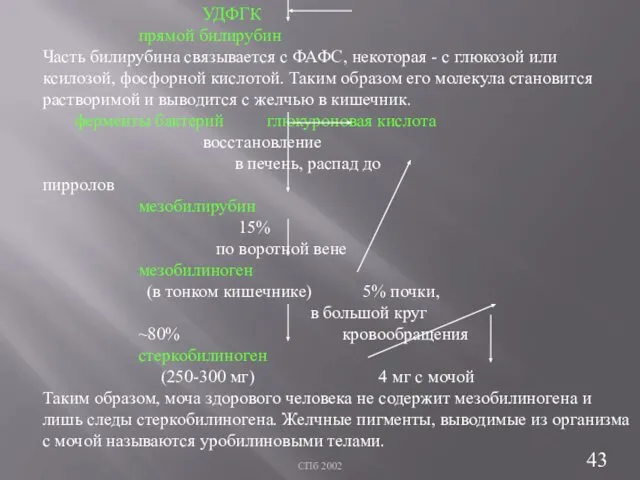 СПб 2002 УДФГК прямой билирубин Часть билирубина связывается с ФАФС, некоторая