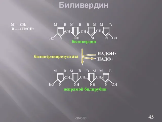 СПб 2002 Биливердин СН СН2 СН ОН НО NН NН N