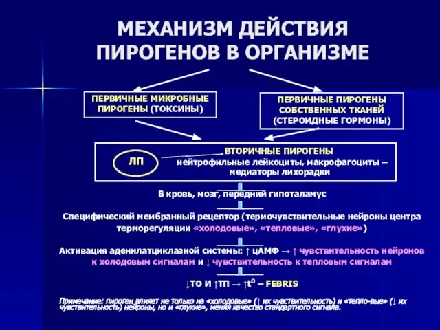 МЕХАНИЗМ ДЕЙСТВИЯ ПИРОГЕНОВ В ОРГАНИЗМЕ