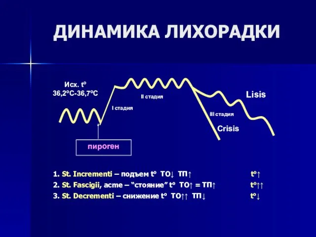 ДИНАМИКА ЛИХОРАДКИ