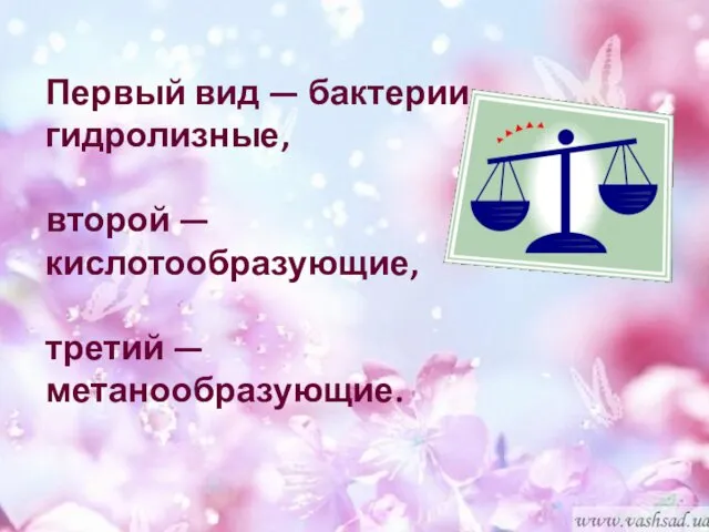 Первый вид — бактерии гидролизные, второй — кислотообразующие, третий — метанообразующие.