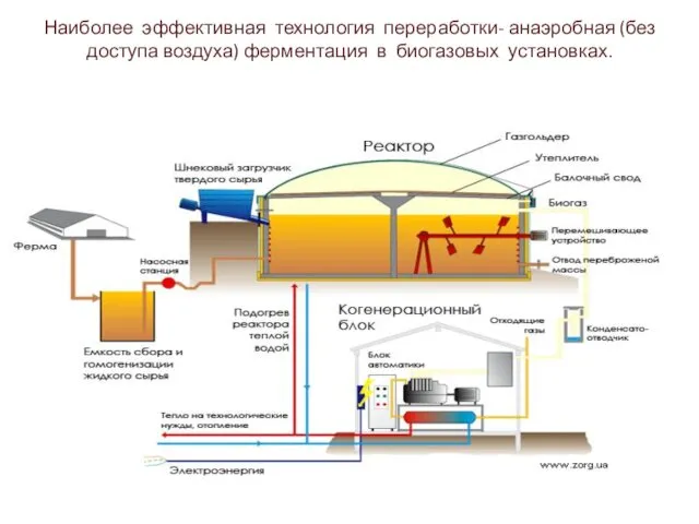 Наиболее эффективная технология переработки- анаэробная (без доступа воздуха) ферментация в биогазовых установках.