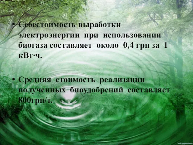 Себестоимость выработки электроэнергии при использовании биогаза составляет около 0,4 грн за