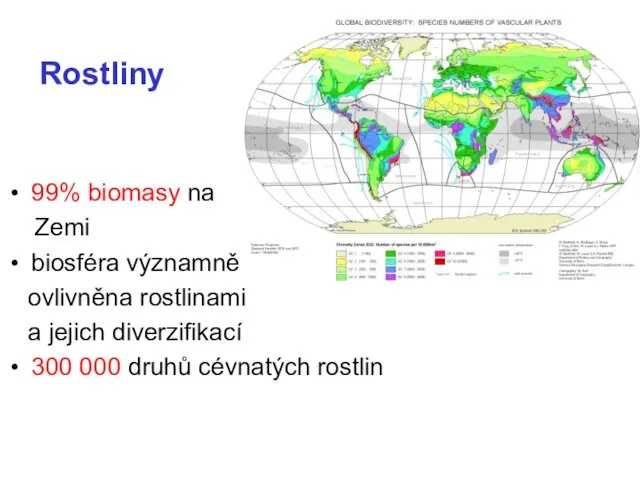 Rostliny 99% biomasy na Zemi biosféra významně ovlivněna rostlinami a jejich