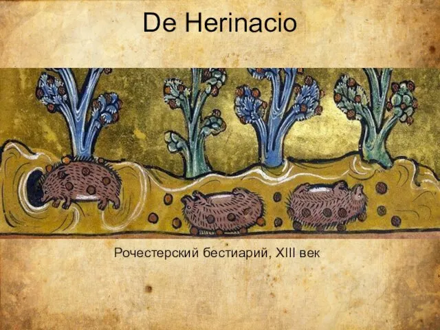 De Herinacio Рочестерский бестиарий, XIII век