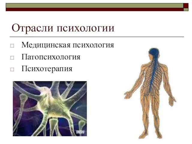 Отрасли психологии Медицинская психология Патопсихология Психотерапия