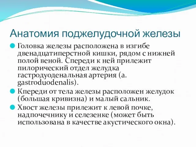 Анатомия поджелудочной железы Головка железы расположена в изгибе двенадцатиперстной кишки, рядом