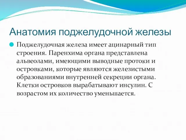 Анатомия поджелудочной железы Поджелудочная железа имеет ацинарный тип строения. Паренхима органа