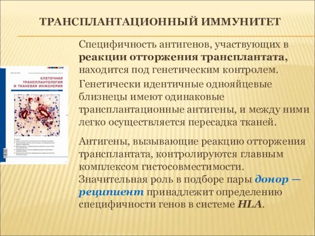 ТРАНСПЛАНТАЦИОННЫЙ ИММУНИТЕТ Специфичность антигенов, участвующих в реакции отторжения трансплантата, находится под