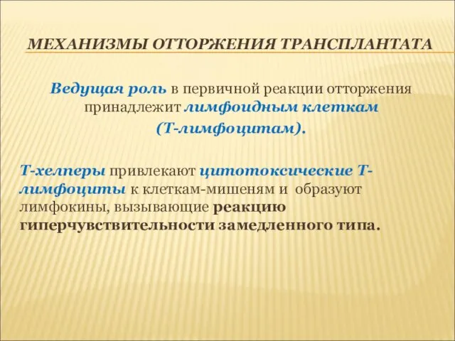 МЕХАНИЗМЫ ОТТОРЖЕНИЯ ТРАНСПЛАНТАТА Ведущая роль в первичной реакции отторжения принадлежит лимфоидным