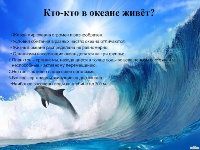 Кто-кто в океане живёт? Живой мир океана огромен и разнообразен. Условия