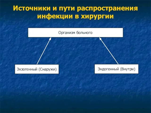 Источники и пути распространения инфекции в хирургии Организм больного Экзогенный (Снаружи) Эндогенный (Внутри)