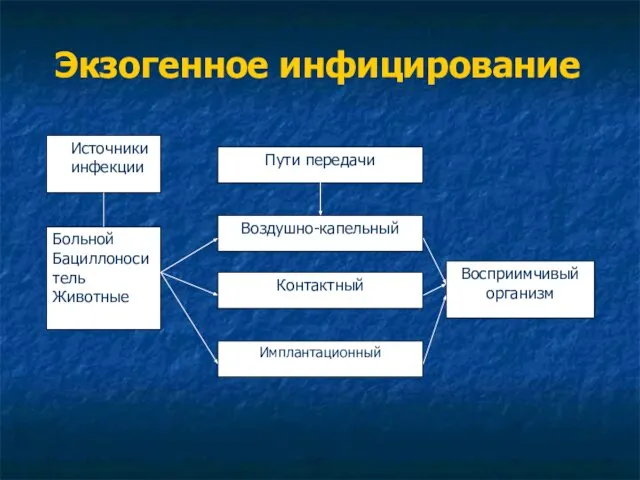 Экзогенное инфицирование