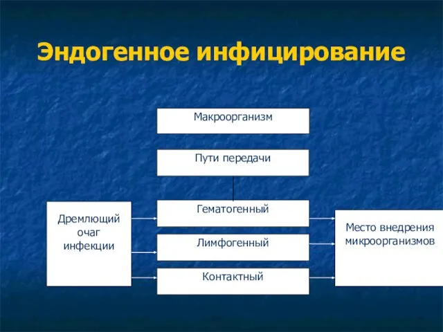 Эндогенное инфицирование