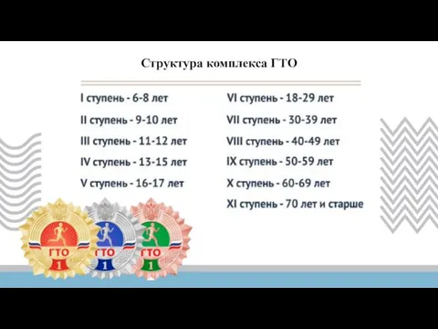 Структура комплекса ГТО