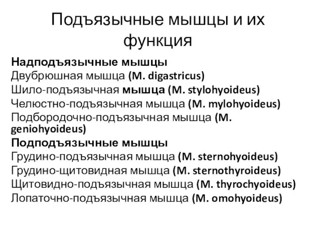 Надподъязычные мышцы Двубрюшная мышца (M. digastricus) Шило-подъязычная мышца (M. stylohyoideus) Челюстно-подъязычная