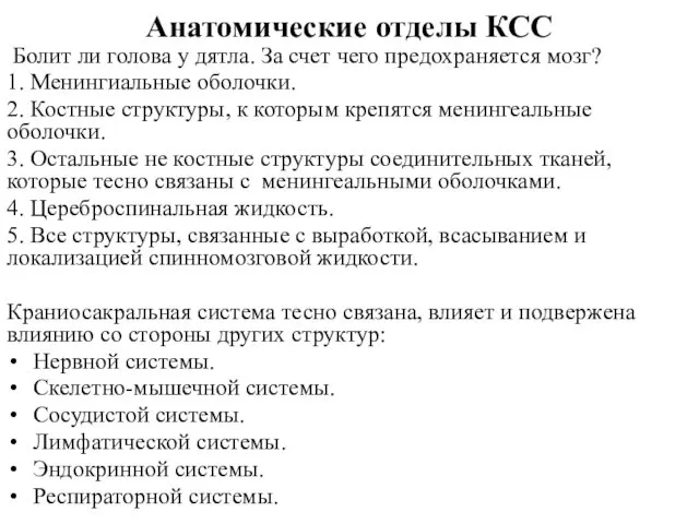 Анатомические отделы КСС Болит ли голова у дятла. За счет чего