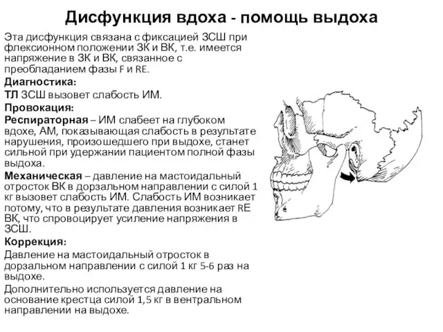 Дисфункция вдоха - помощь выдоха Эта дисфункция связана с фиксацией ЗСШ