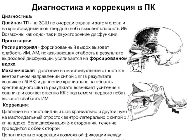 Диагностика и коррекция в ПК Диагностика: Двойная ТЛ - на ЗСШ