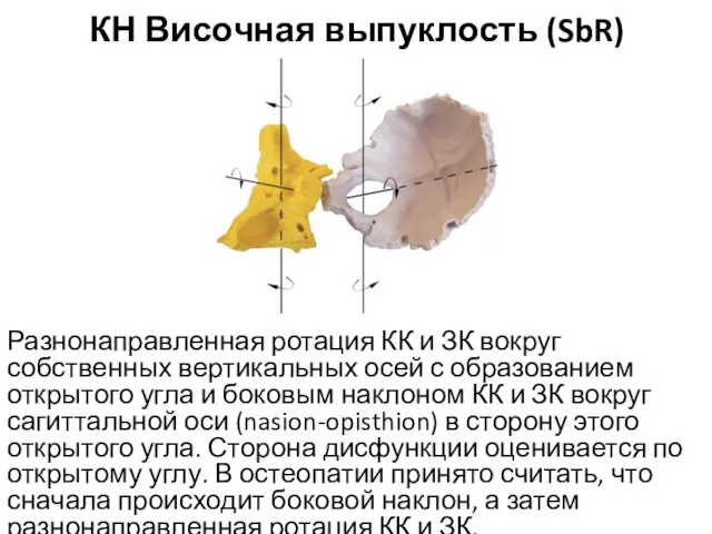 Разнонаправленная ротация КК и ЗК вокруг собственных вертикальных осей с образованием