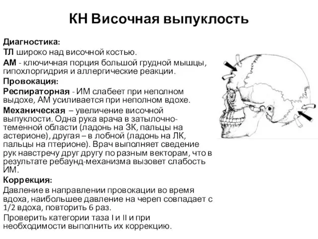 КН Височная выпуклость Диагностика: ТЛ широко над височной костью. АМ -