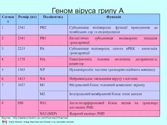 Геном віруса грипу А Source: http://www.omedon.co.uk/influenza/influenza/