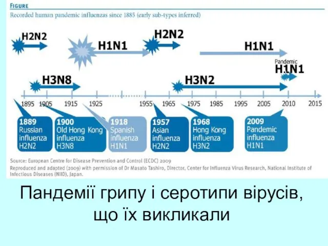 Пандемії грипу і серотипи вірусів, що їх викликали