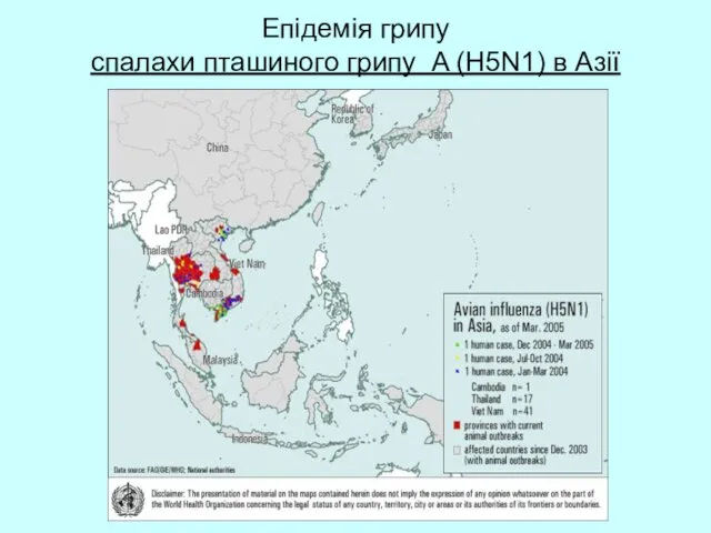 Епідемія грипу спалахи пташиного грипу A (H5N1) в Азії