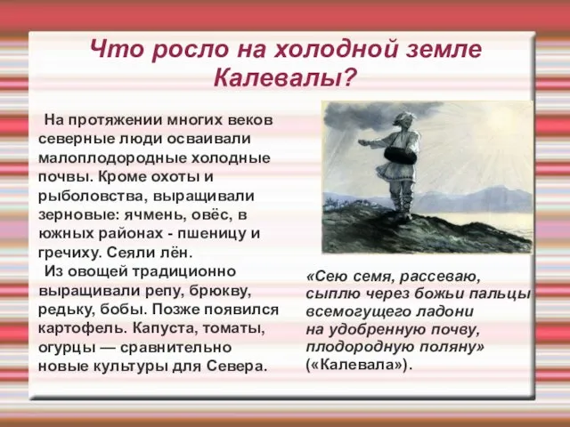 На протяжении многих веков северные люди осваивали малоплодородные холодные почвы. Кроме